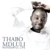 Thabo Mdluli - Wonderful Life